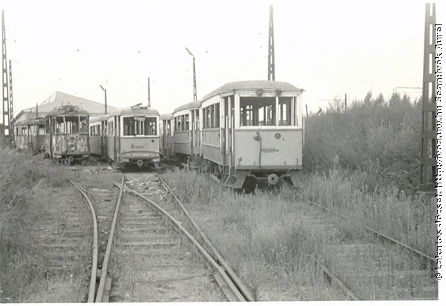 5201.jpg