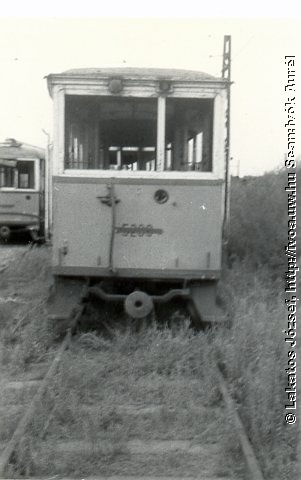 5202.jpg