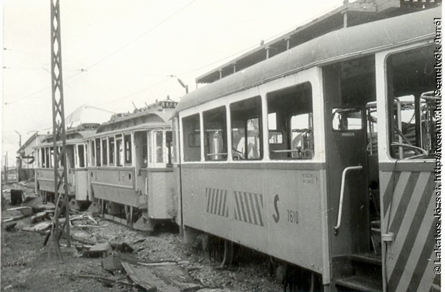 7613.jpg
