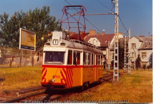 7672.jpg