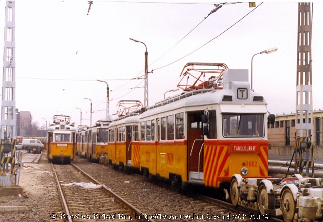 7678.jpg