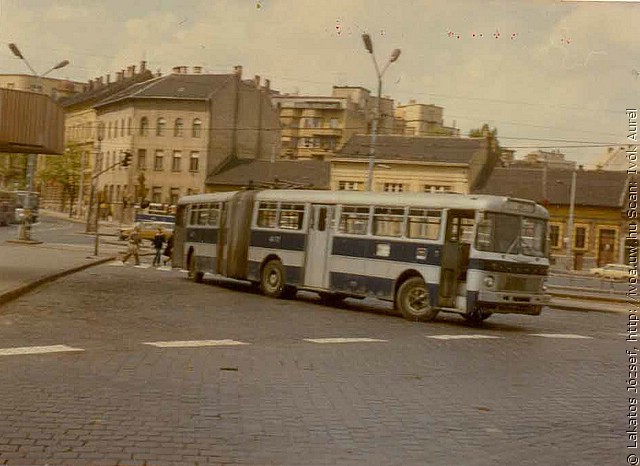 busz1.jpg