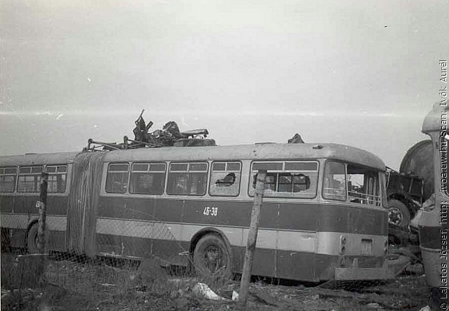 busz11.jpg