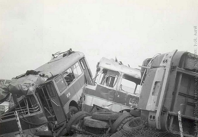 busz12.jpg
