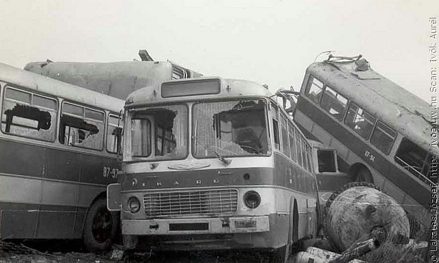 busz13.jpg
