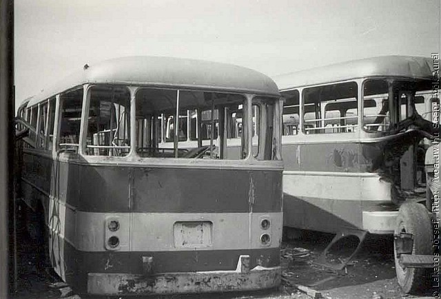 busz14.jpg