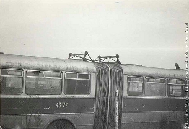 busz16.jpg