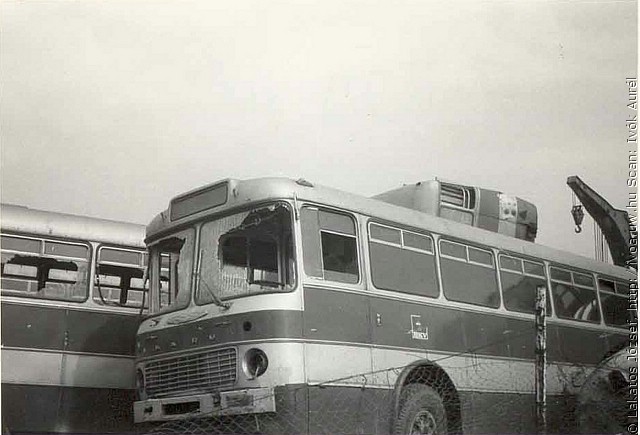 busz17.jpg