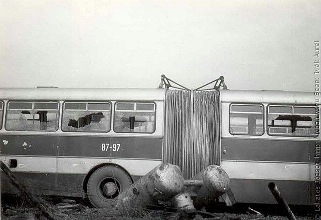 busz19.jpg