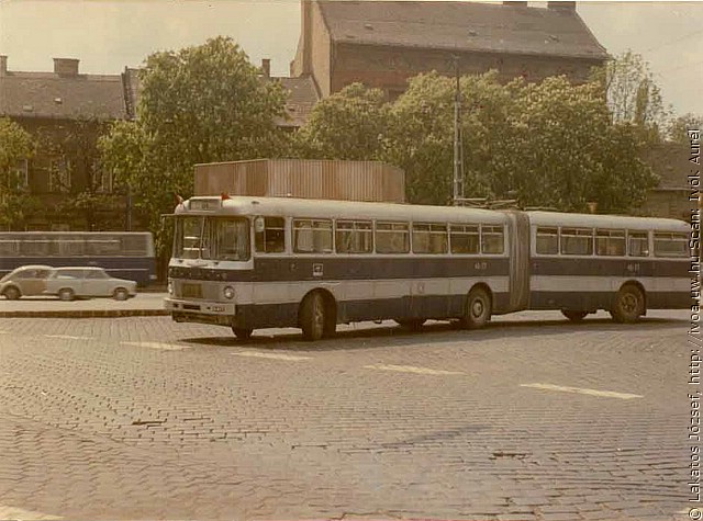 busz2.jpg