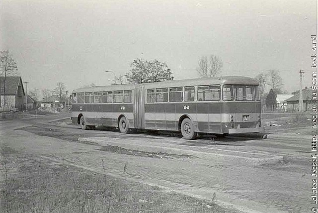 busz21.jpg