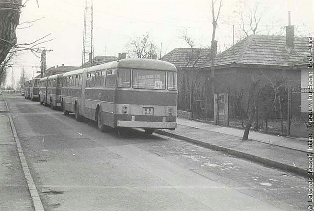 busz22.jpg