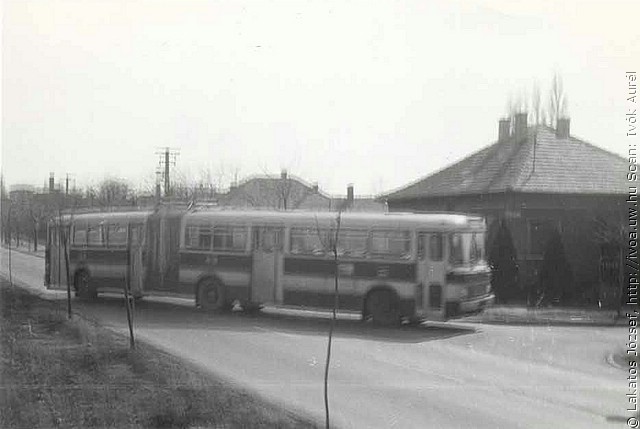 busz23.jpg