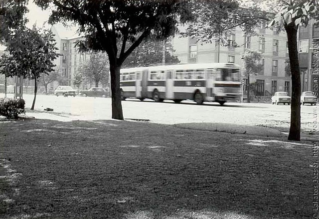 busz29.jpg