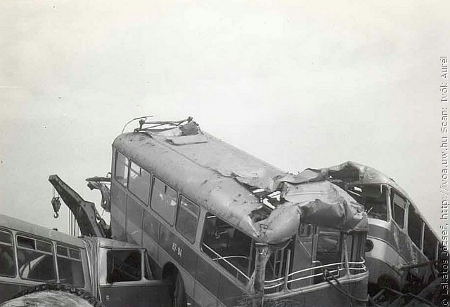 busz3.jpg
