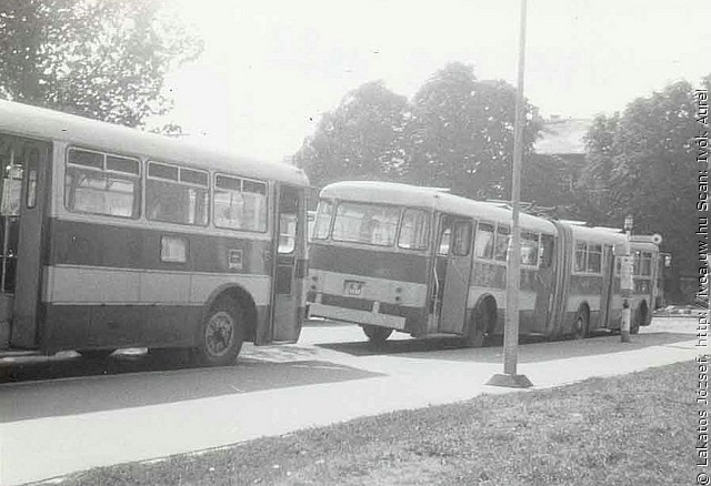 busz30.jpg
