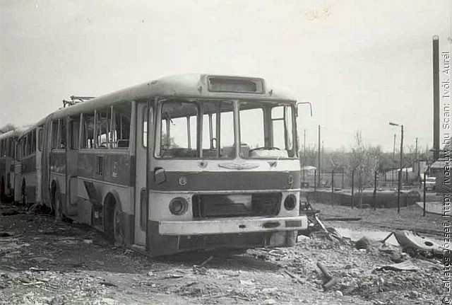 busz31.jpg