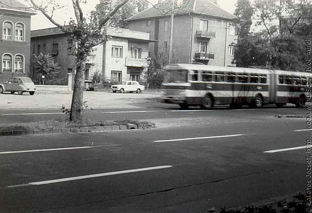 busz32.jpg