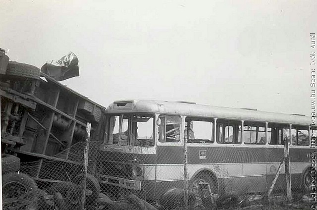 busz33.jpg