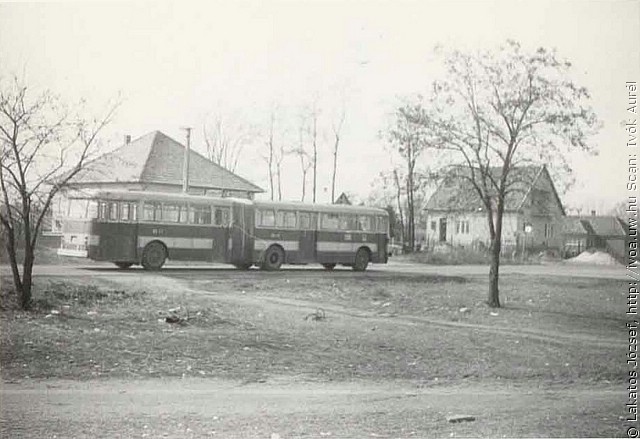 busz34.jpg