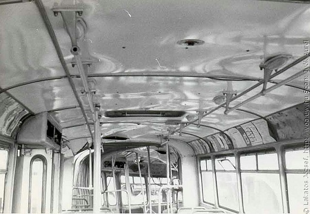 busz36.jpg