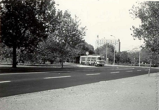 busz5.jpg
