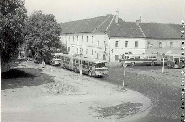 busz6.jpg