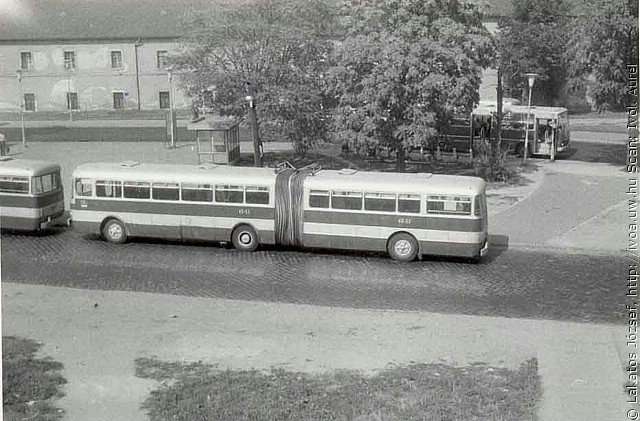 busz7.jpg