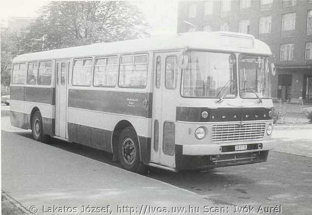 55603.jpg