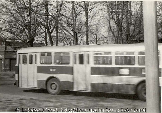 55604.jpg