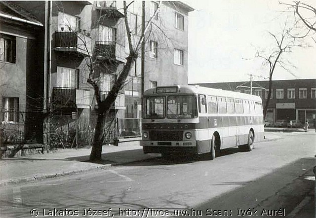 55607.jpg