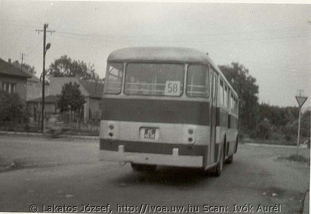 55608.jpg