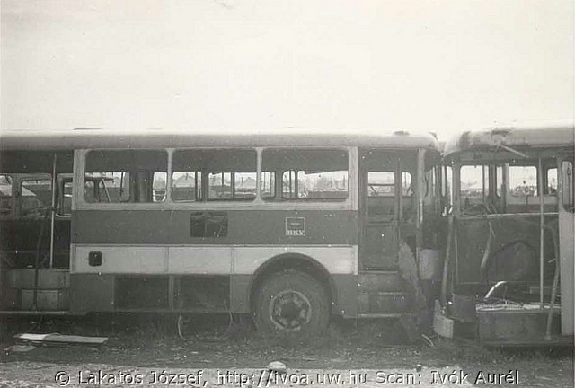 55615.jpg