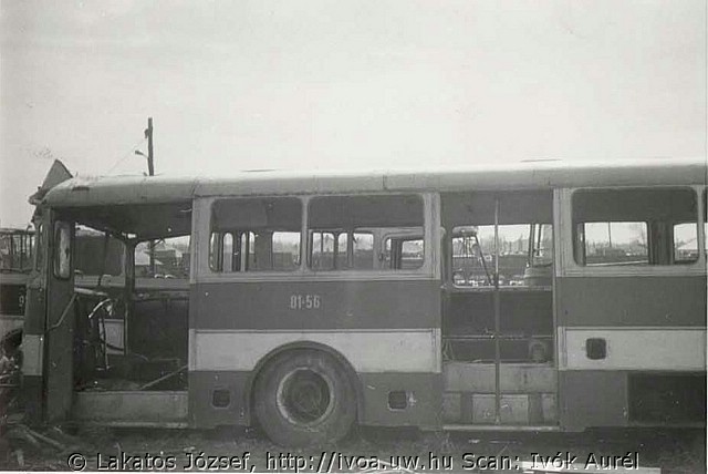 55616.jpg
