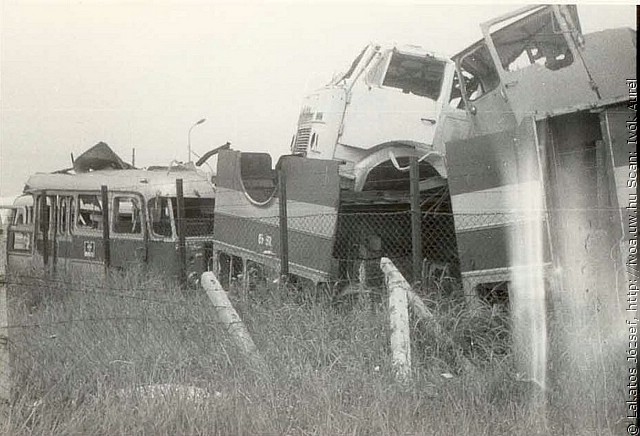 05.jpg