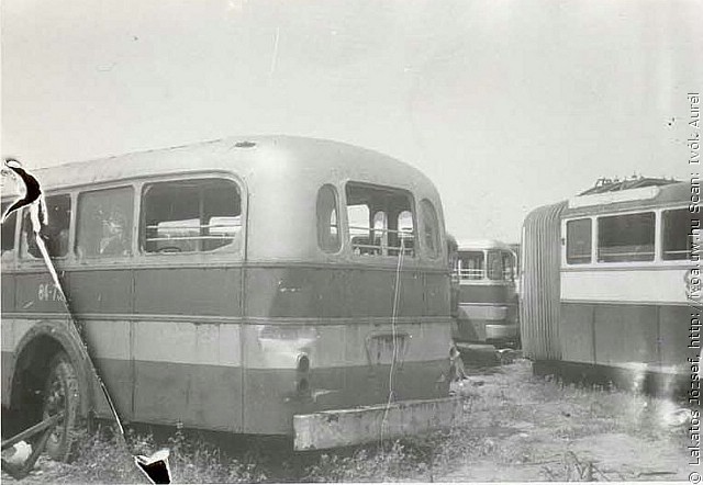 06.jpg