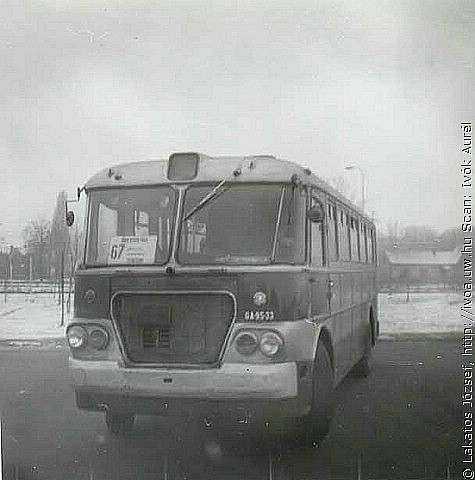 6301.jpg