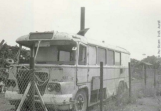 6303.jpg