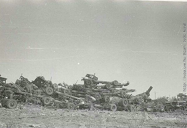 6304.jpg