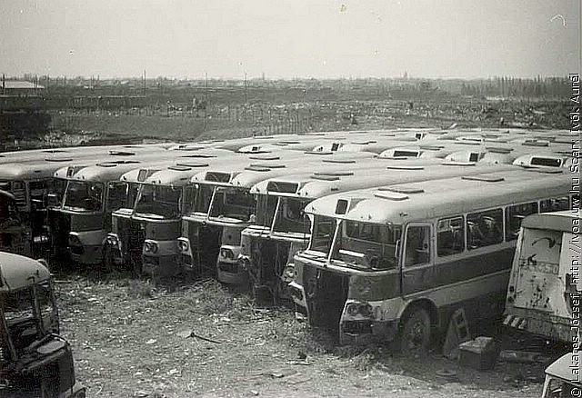 6305.jpg
