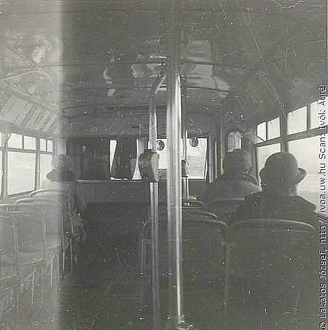 6310.jpg