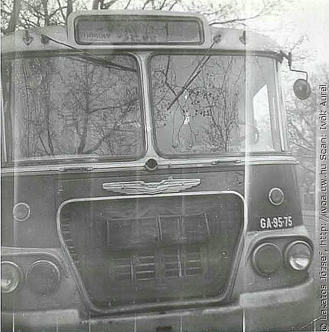 6313.jpg