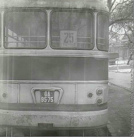 6315.jpg