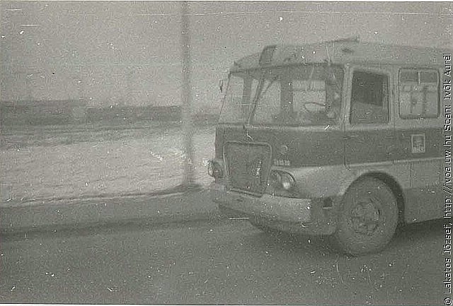 6316.jpg