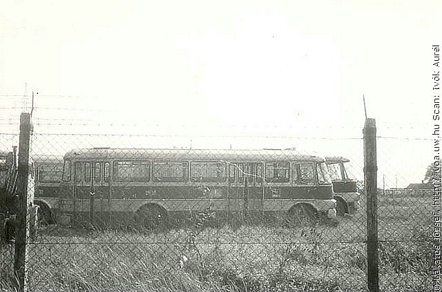 6317.jpg