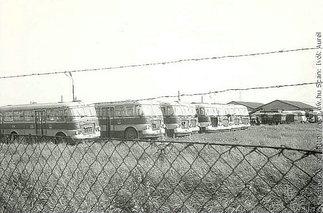 6318.jpg