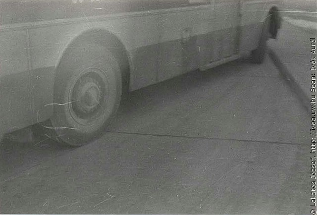 6320.jpg