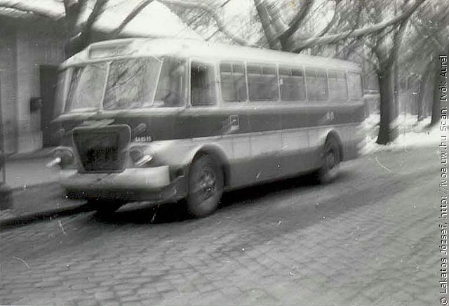 6321.jpg
