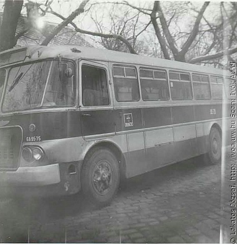 6325.jpg