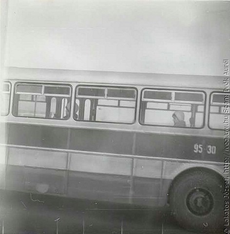 6326.jpg